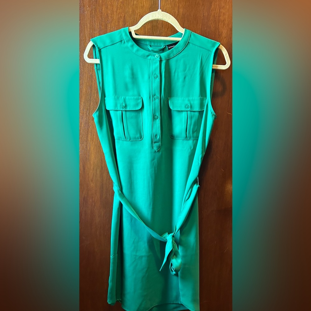 Adrienne Vittadini Green Dress - Size 6